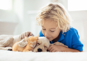 How to Secure Insurance Coverage for a New Pet